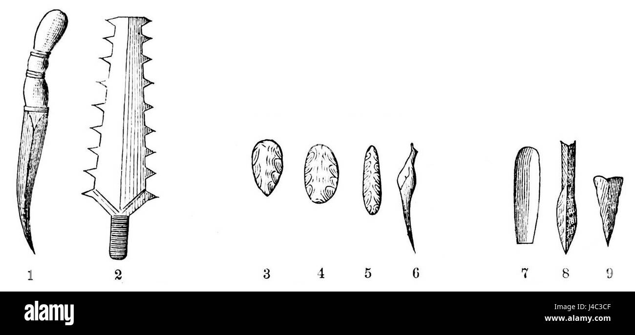Questa immagine tratta dalla pubblicazione "PSM V21 D088" raffigura armi paleolitiche e neolitiche, insieme a forme animali utilizzate in queste epoche antiche. L'immagine esplora i progressi tecnologici e il significato culturale delle prime armi umane. Foto Stock