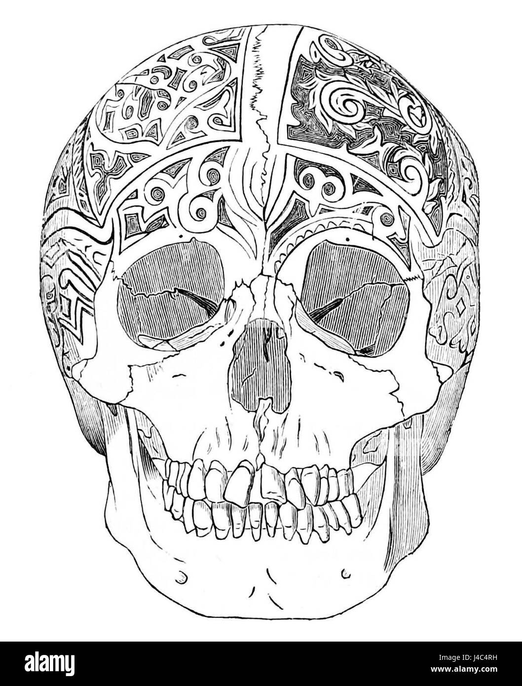 PSM V18 D765 Negrito cranio del Borneo scolpito dal delle tribù dayak Foto Stock