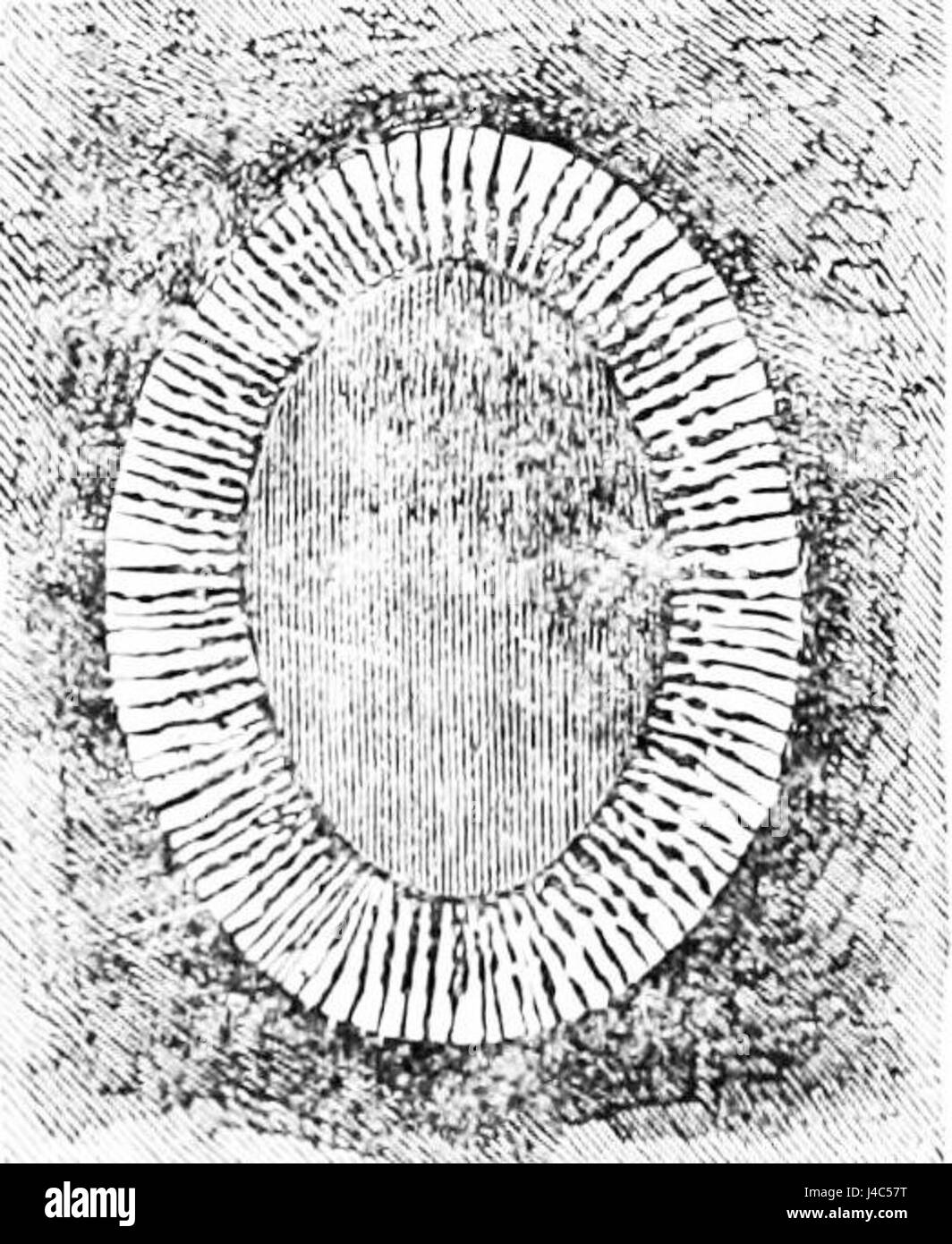Il cappotto in pelle PSM V20 D474, un capo storico, è caratterizzato dal suo design a spirale. Questo pezzo esemplifica la moda e l'artigianalità, riflettendo l'artigianalità del periodo in cui è stato creato. Foto Stock
