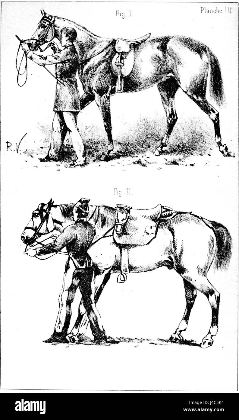 "Principes de dressage" si traduce in "principi di formazione" e si riferisce a un'opera sui principi dell'allevamento degli animali, in particolare per cavalli o altri animali domestici. Foto Stock