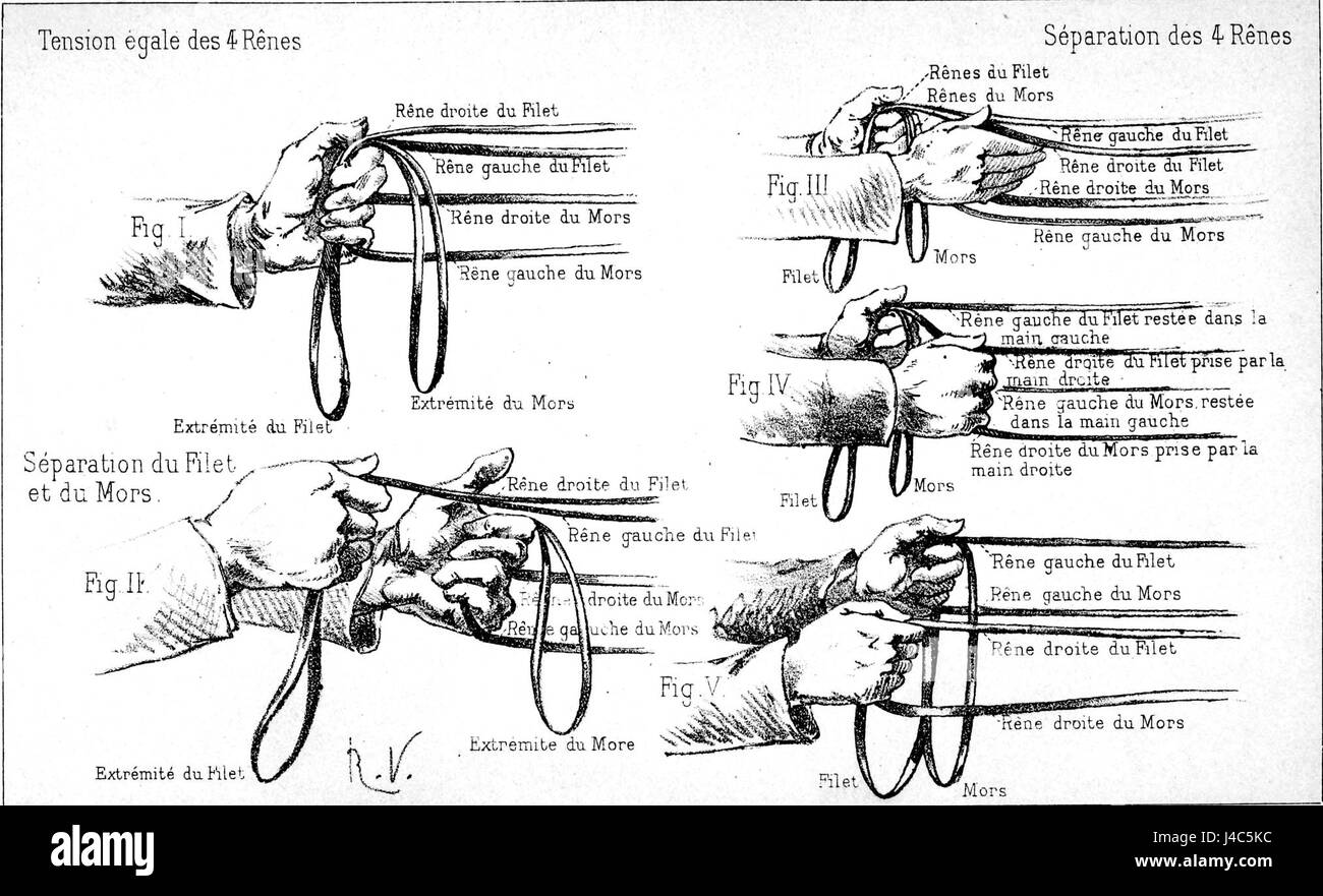 Questo lavoro è un riferimento a "Principesdedressage", un classico manuale equestre francese, che delinea i principi dell'addestramento dei cavalli e le tecniche di dressage per i cavalieri. Foto Stock