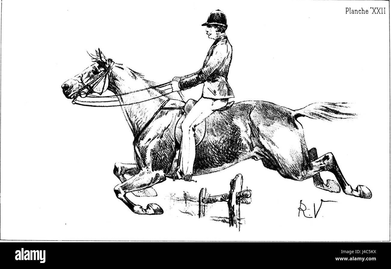 "Principes de dressage" si riferisce ai principi di formazione, spesso legati agli animali, in particolare ai cavalli. Questa voce può riguardare le tecniche o i metodi utilizzati nell'addestramento degli animali. Foto Stock