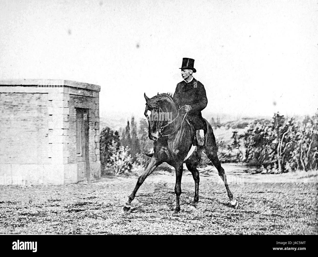 Principesdedressage si riferisce a un termine relativo al dressage classico, l'arte di addestrare i cavalli per l'equitazione formale. Si concentra sui principi e le tecniche di questa disciplina equestre. Foto Stock