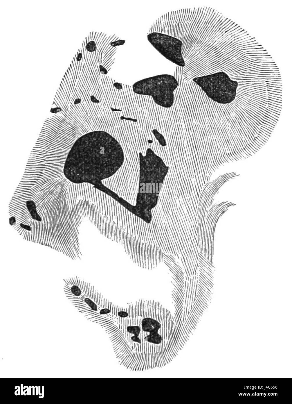 PSM V23 D178 Novembre 18 sunspot con grande tempesta magnetica Foto Stock