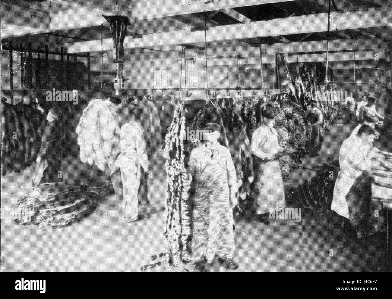 Questa immagine mostra le pelli di animali grezze mostrate prima di una vendita a Londra nel 1913. Le pelli erano probabilmente parte del commercio delle pellicce, un'industria significativa all'inizio del XX secolo, contribuendo all'attività commerciale di Londra. Foto Stock