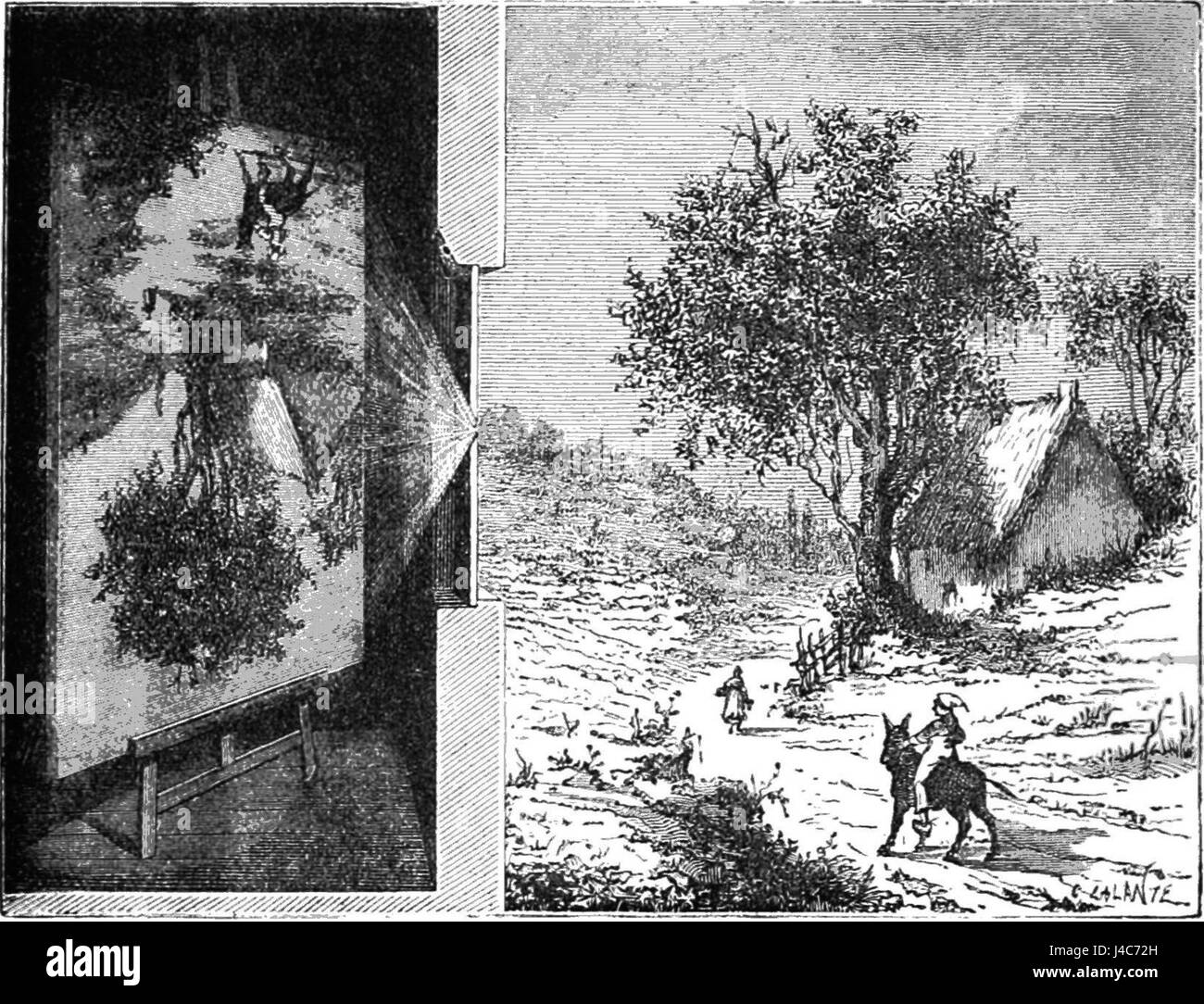 Un'illustrazione o un diagramma scientifico che confronta l'immagine vista dall'occhio con l'immagine percepita dal cervello, evidenziando le differenze nell'elaborazione visiva. Foto Stock