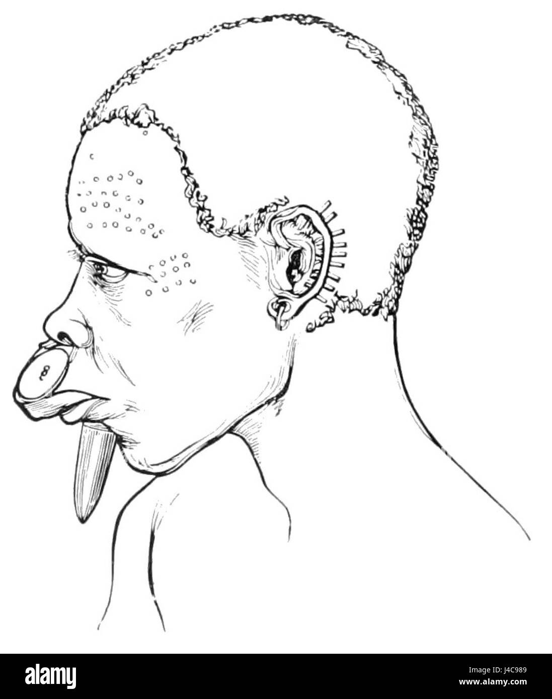 Questa immagine del PSM V39 D506 mostra un individuo africano che indossa tradizionali ornamenti per labbra, evidenziando il significato culturale dell'ornamento del corpo in varie società africane. Foto Stock