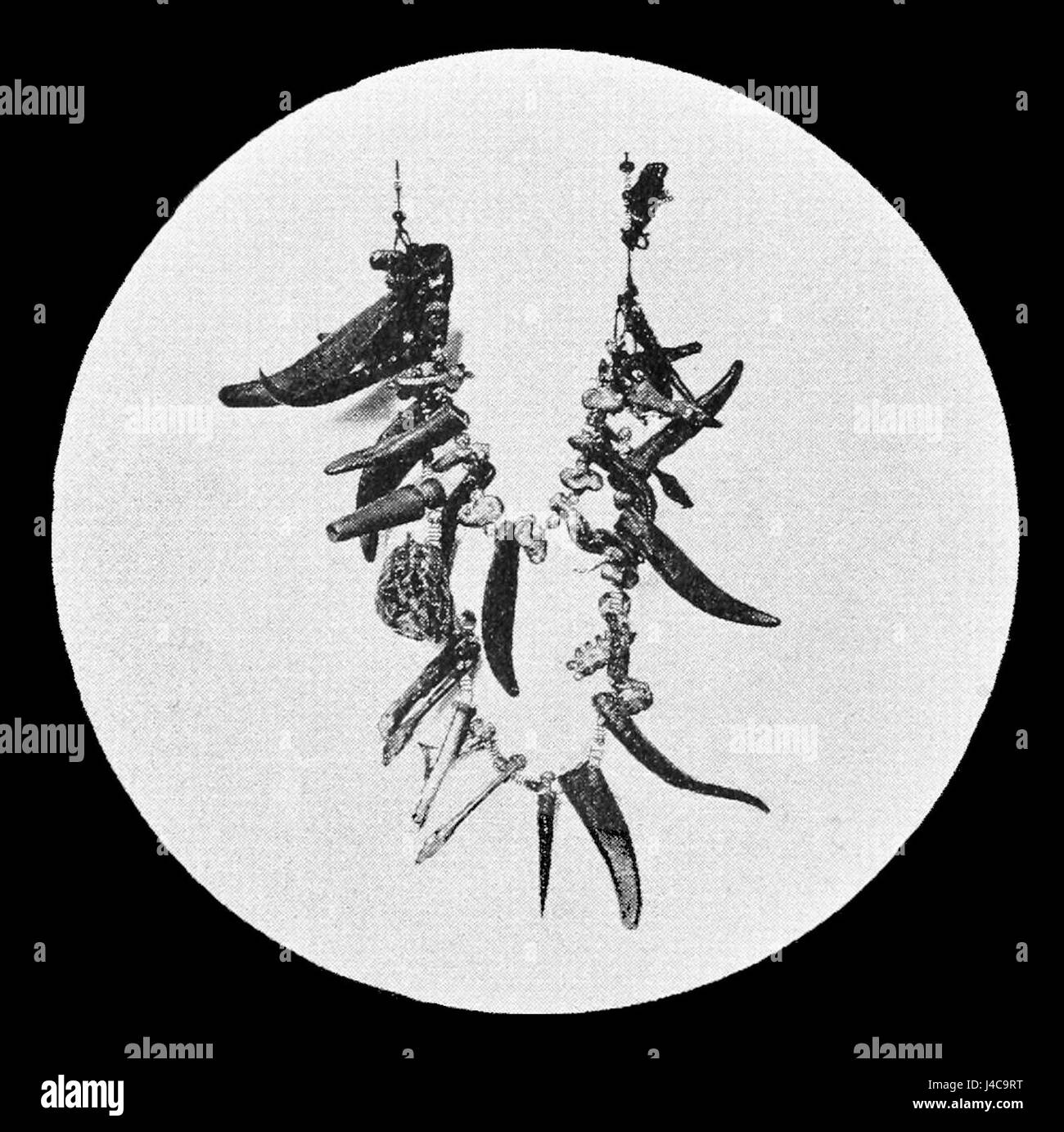 PSM V40 D206 Collana di stregone Foto Stock