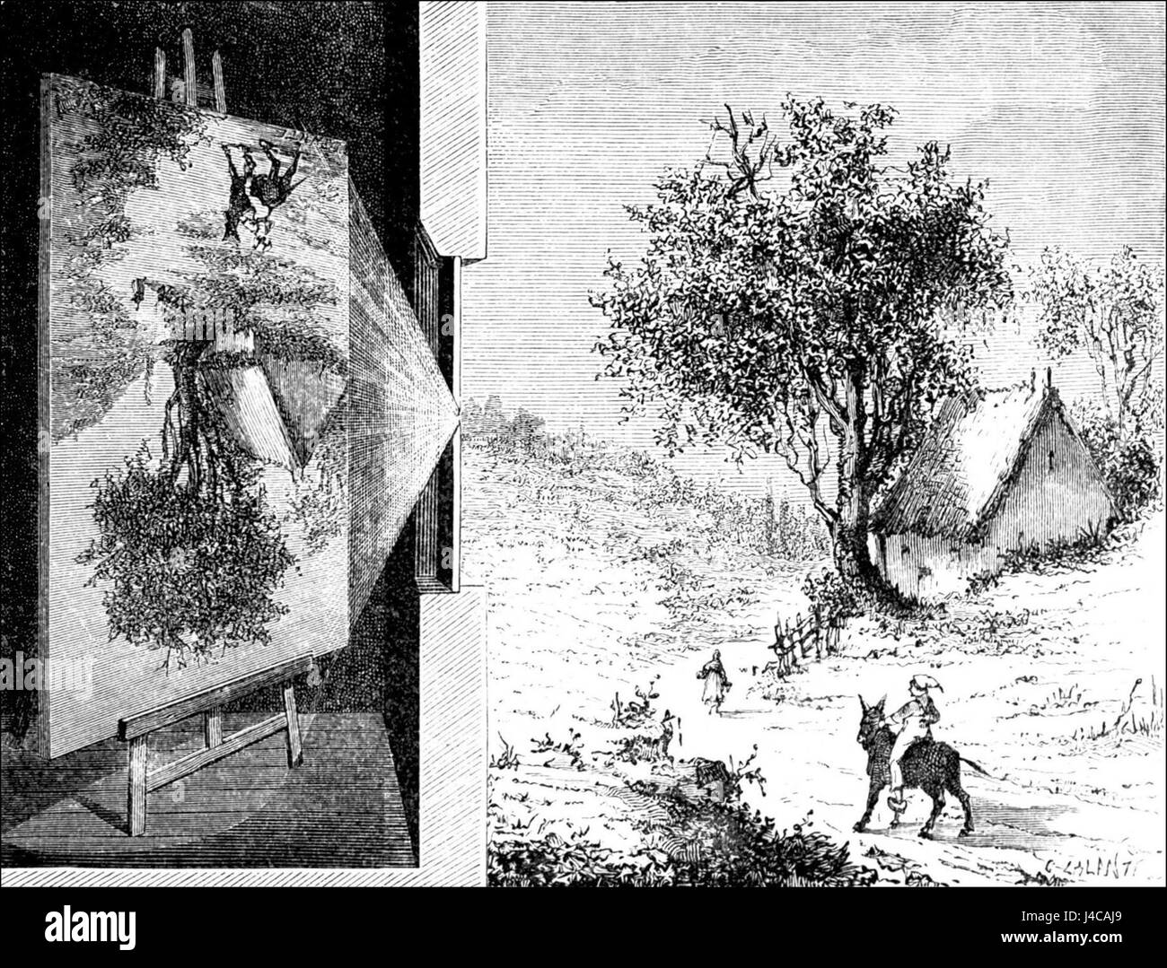 Si tratta di un'immagine invertita di un paesaggio che mostra una prospettiva unica dell'ambiente. La vista invertita evidenzia l'insolita interpretazione visiva degli elementi naturali. Foto Stock