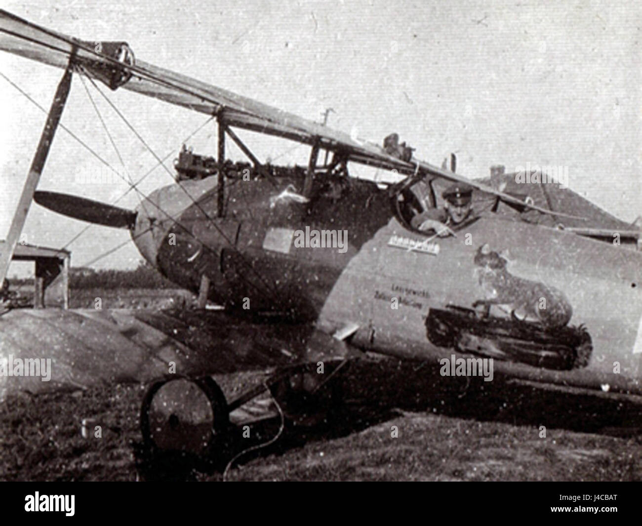 Il Pfalz D IIIa è un aereo da caccia tedesco della prima guerra mondiale progettato da Kurt Katzenstein. Conosciuto per il suo aspetto unico e le sue prestazioni, ha giocato un ruolo significativo nel combattimento aereo durante la guerra. Foto Stock