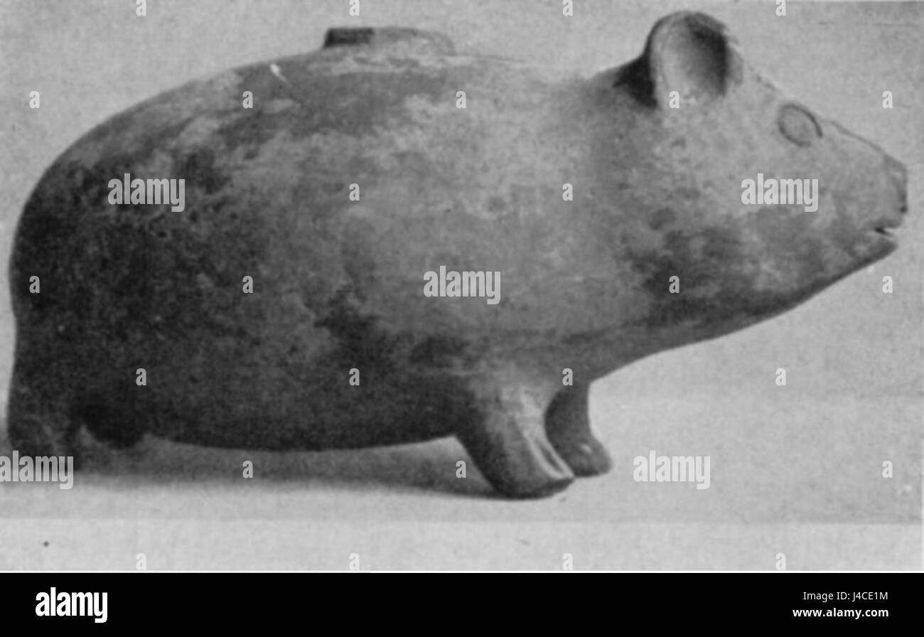 Questa rappresentazione in ceramica di una cavia, risalente alla cultura Mochica (1000-500 d.C.), dimostra l'abilità degli artigiani pre-inca. I Mochica usavano ceramiche per rappresentare la vita quotidiana e gli animali, riflettendo le credenze e le pratiche della loro cultura. Foto Stock