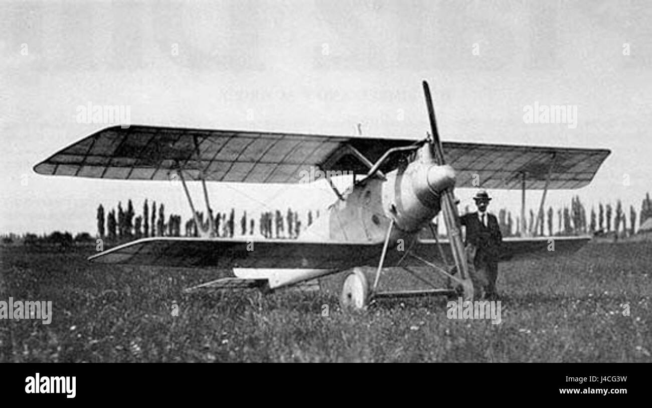 Il Pfalz si riferisce a una regione storica della Germania, principalmente associata al Palatinato, una notevole area storica e culturale. È ben noto per il suo ruolo nella storia tedesca, in particolare durante il medioevo e i primi periodi moderni. Foto Stock