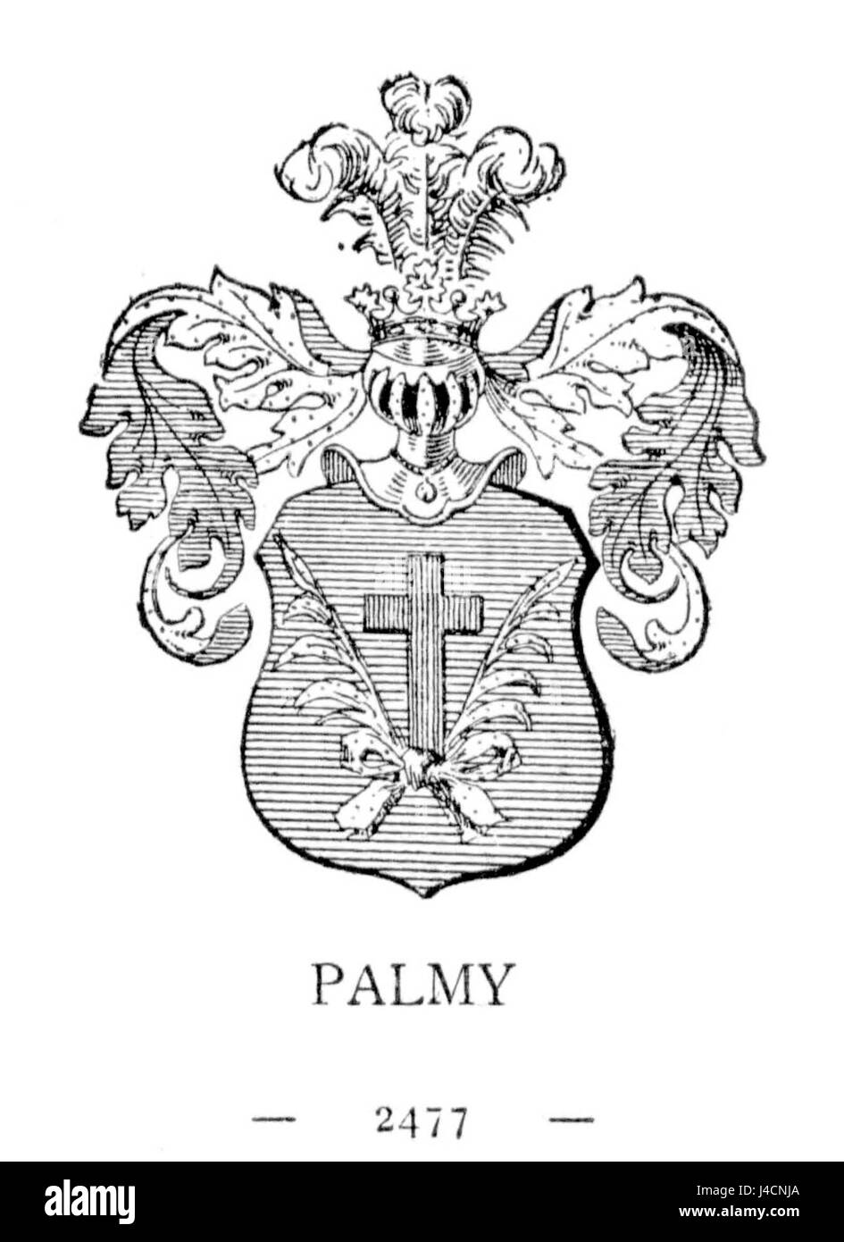 POL COA Palmy Foto Stock