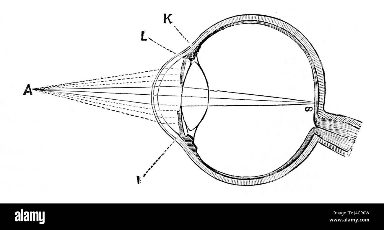 PSM V01 D481 occhio struttura focale Foto Stock