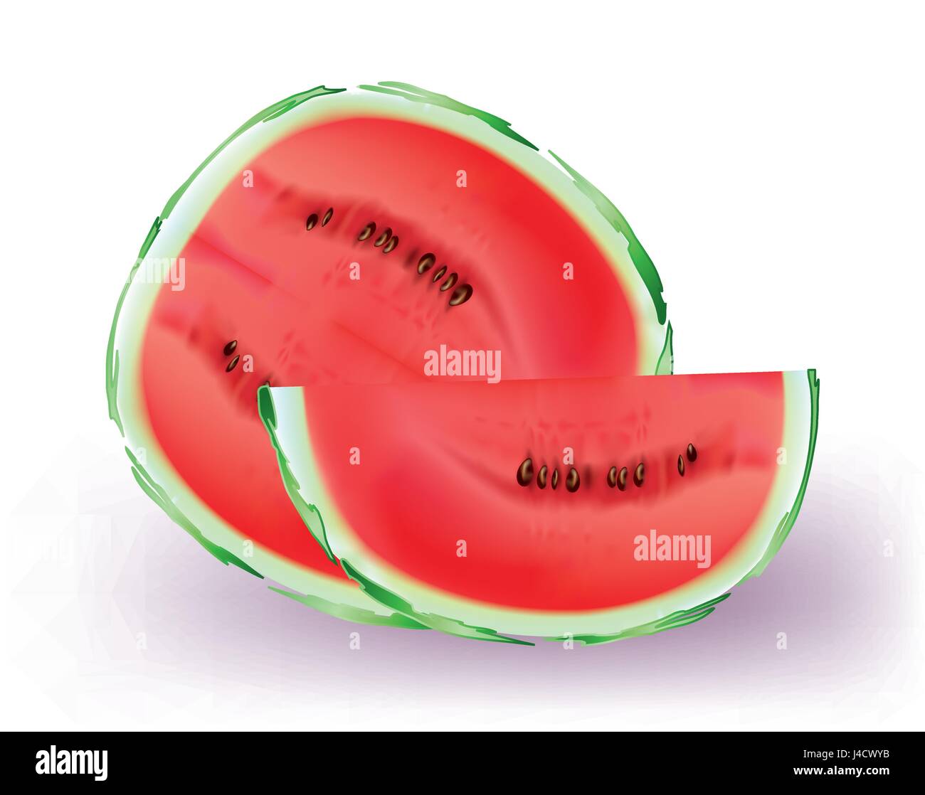 Red Water melon su sfondo bianco Illustrazione Vettoriale