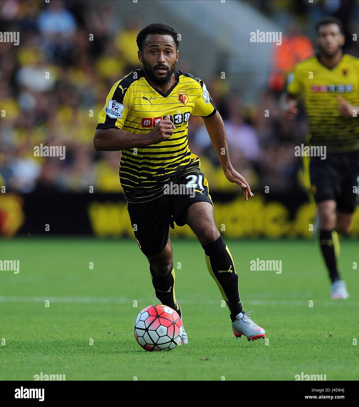 ALLAN NYOM DI WATFORD WATFORD V SOUTHAMPTON VICARAGE ROAD STADIUM WATFORD INGHILTERRA 23 Agosto 2015 Foto Stock