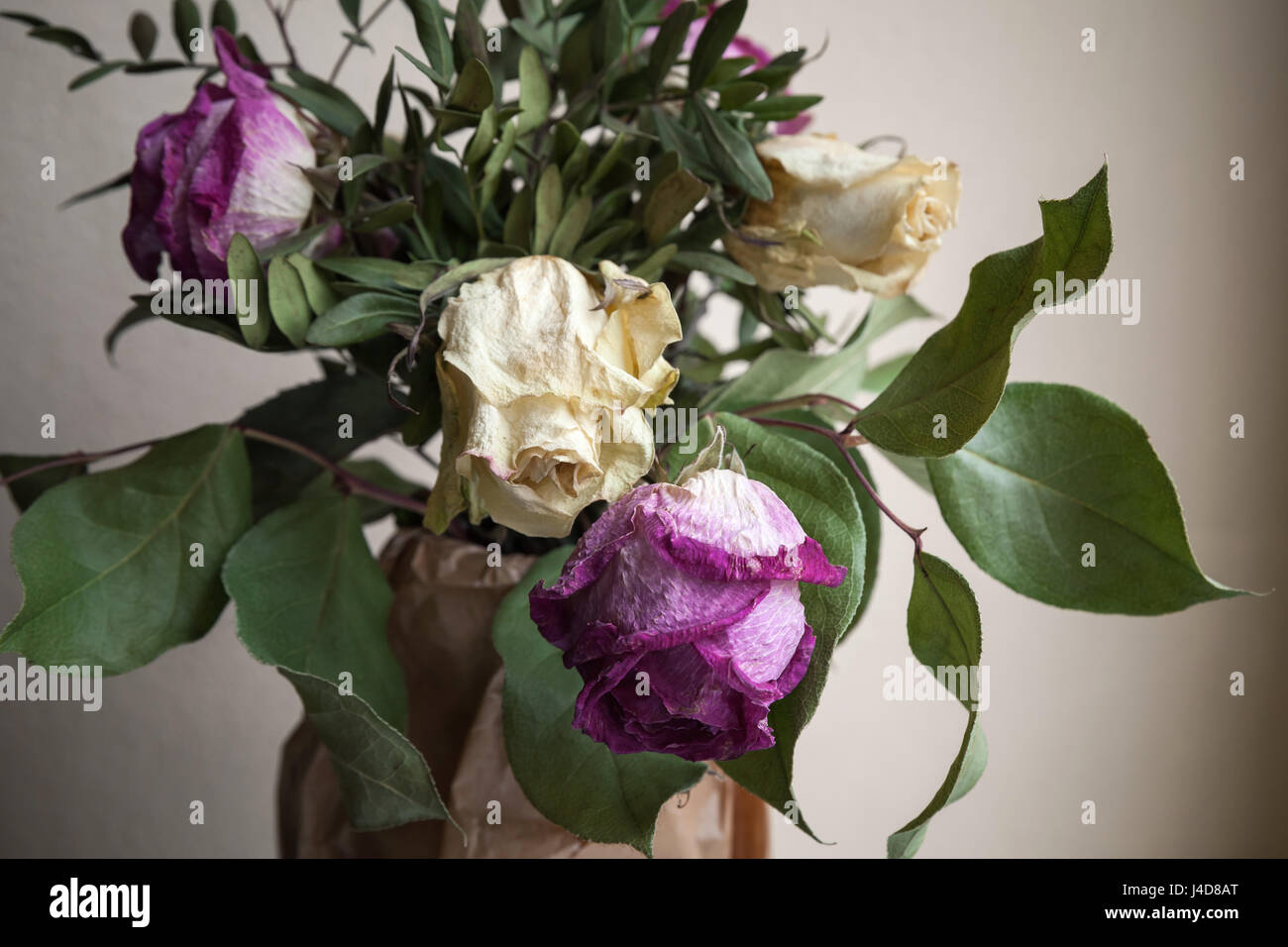 Bouquet di rossi secchi e rose bianche, closeup bassa foto chiave oltre il muro grigio Sfondo, morbida messa a fuoco selettiva Foto Stock