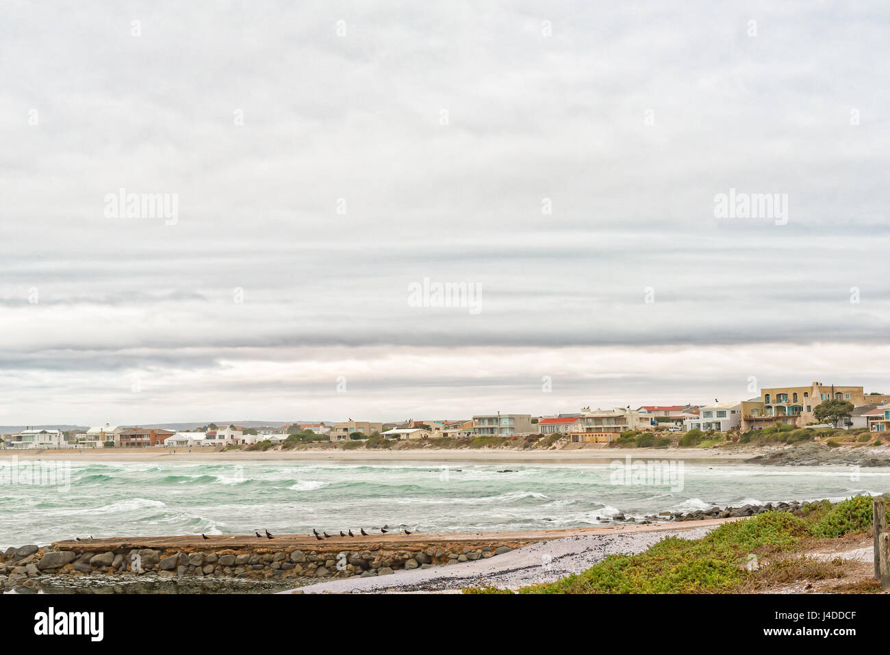 YZERFONTEIN, SUD AFRICA - 31 Marzo 2017: una vista di case e una spiaggia con minacciate oystercatchers nero nella parte anteriore a Yzerfontein sulla West COA Foto Stock