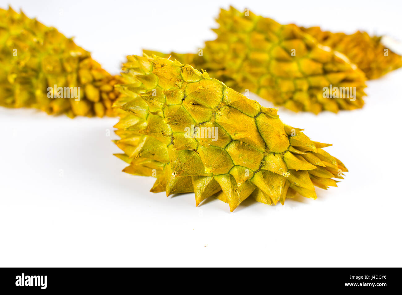 Durian frutta tropicale peel isolati su sfondo bianco Foto Stock