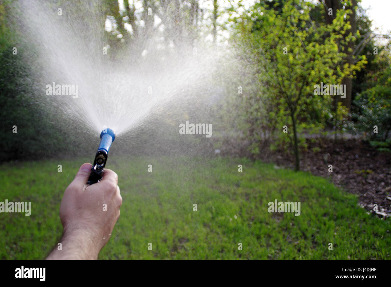 Mano con pistola ad acqua durante home prato abbeveraggio Foto Stock