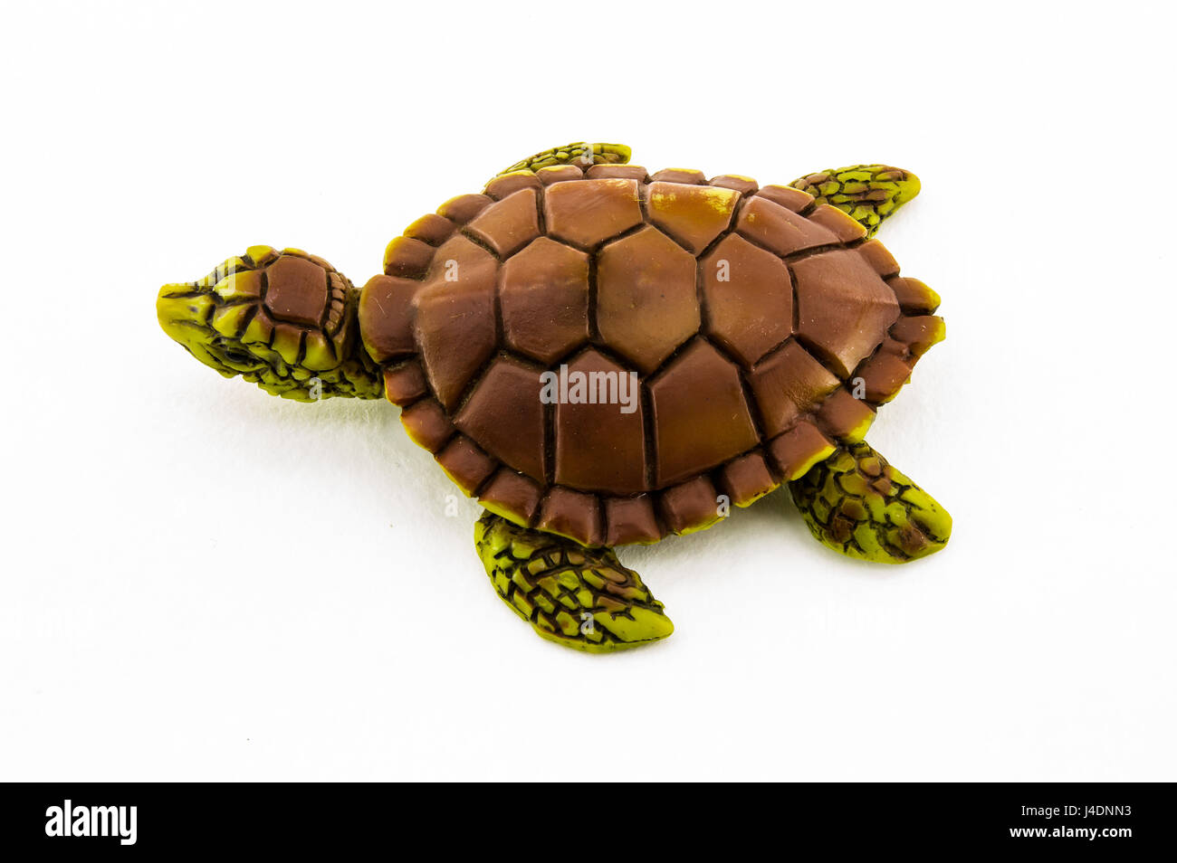 Gomma giocattolo tartaruga isolati su sfondo bianco Foto Stock