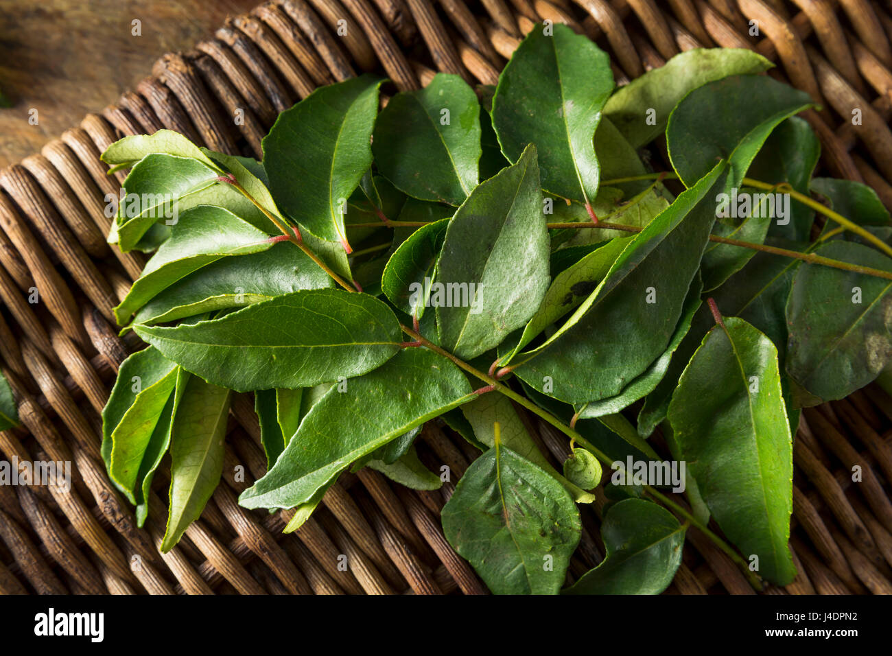 Materie organiche Verde foglie di Curry pronto a cucinare con Foto Stock