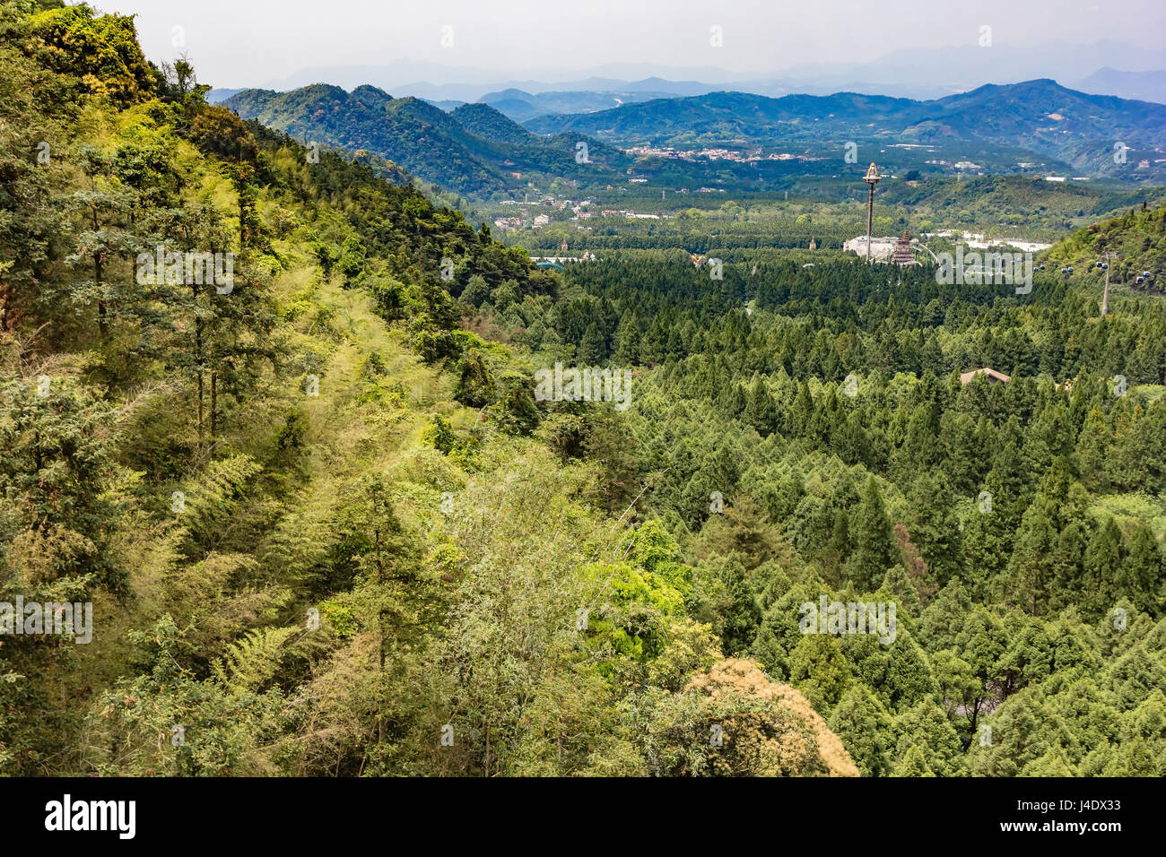 Vista aerea della foresta di verde di pini sul versante della montagna Foto Stock