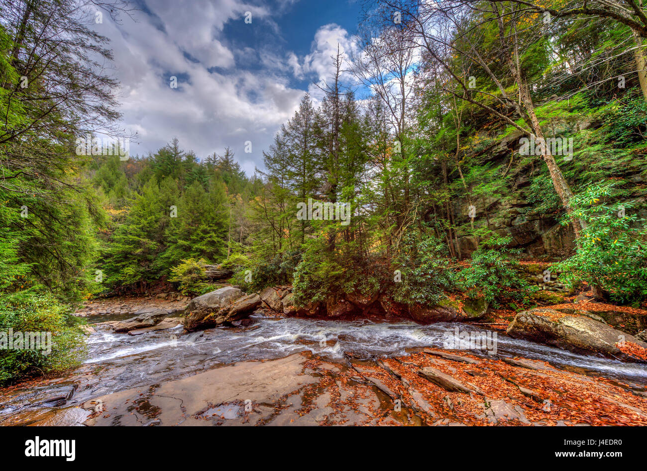 Un fiume selvaggio nel deglutire cade nei monti Appalachi del Maryland durante l'Autunno Foto Stock