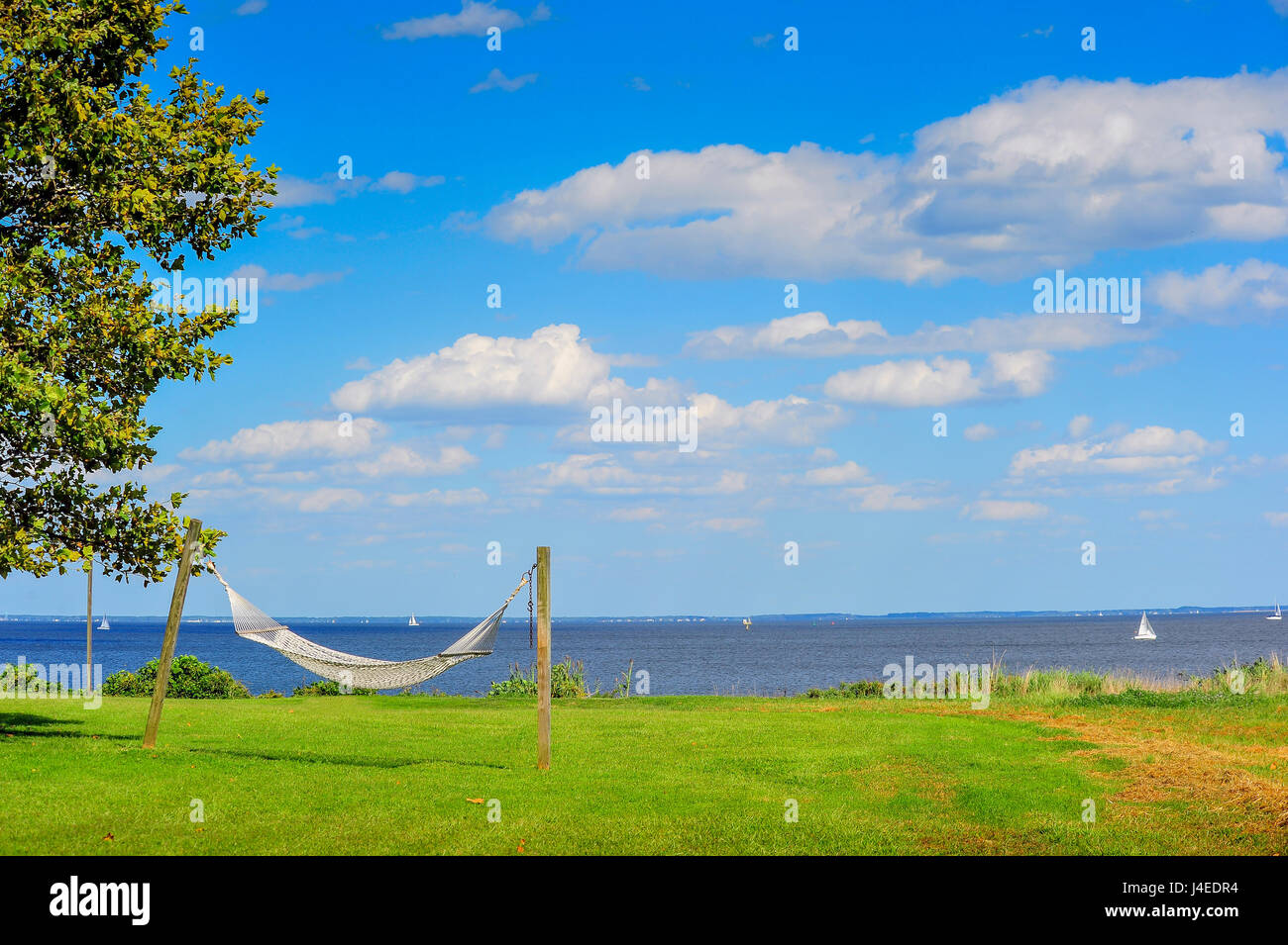 Un amaca dalla baia di Chesapeake nel Maryland in una giornata di sole. Foto Stock