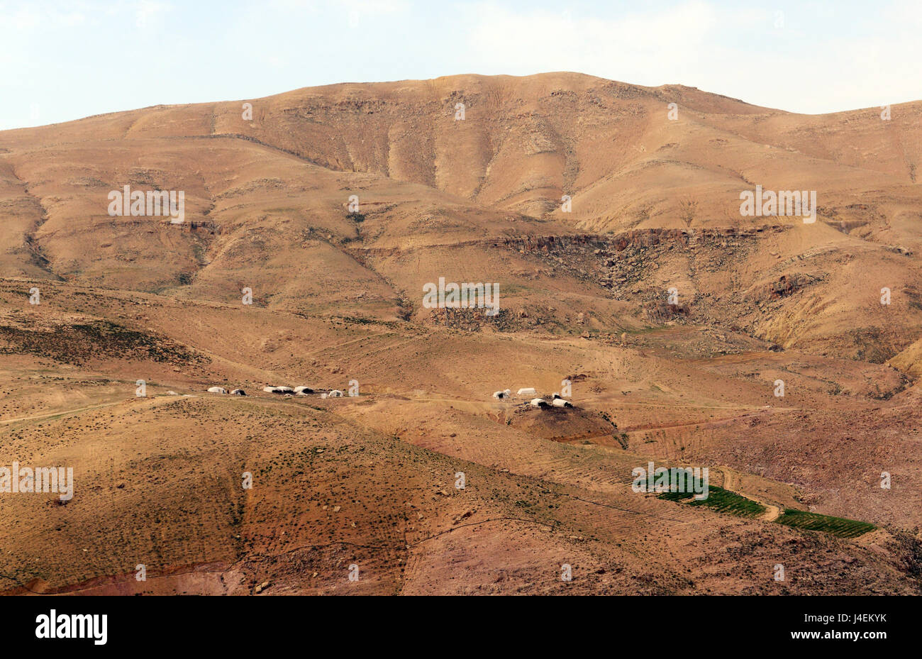 Bedouin tented villaggi nel deserto giordano. Foto Stock