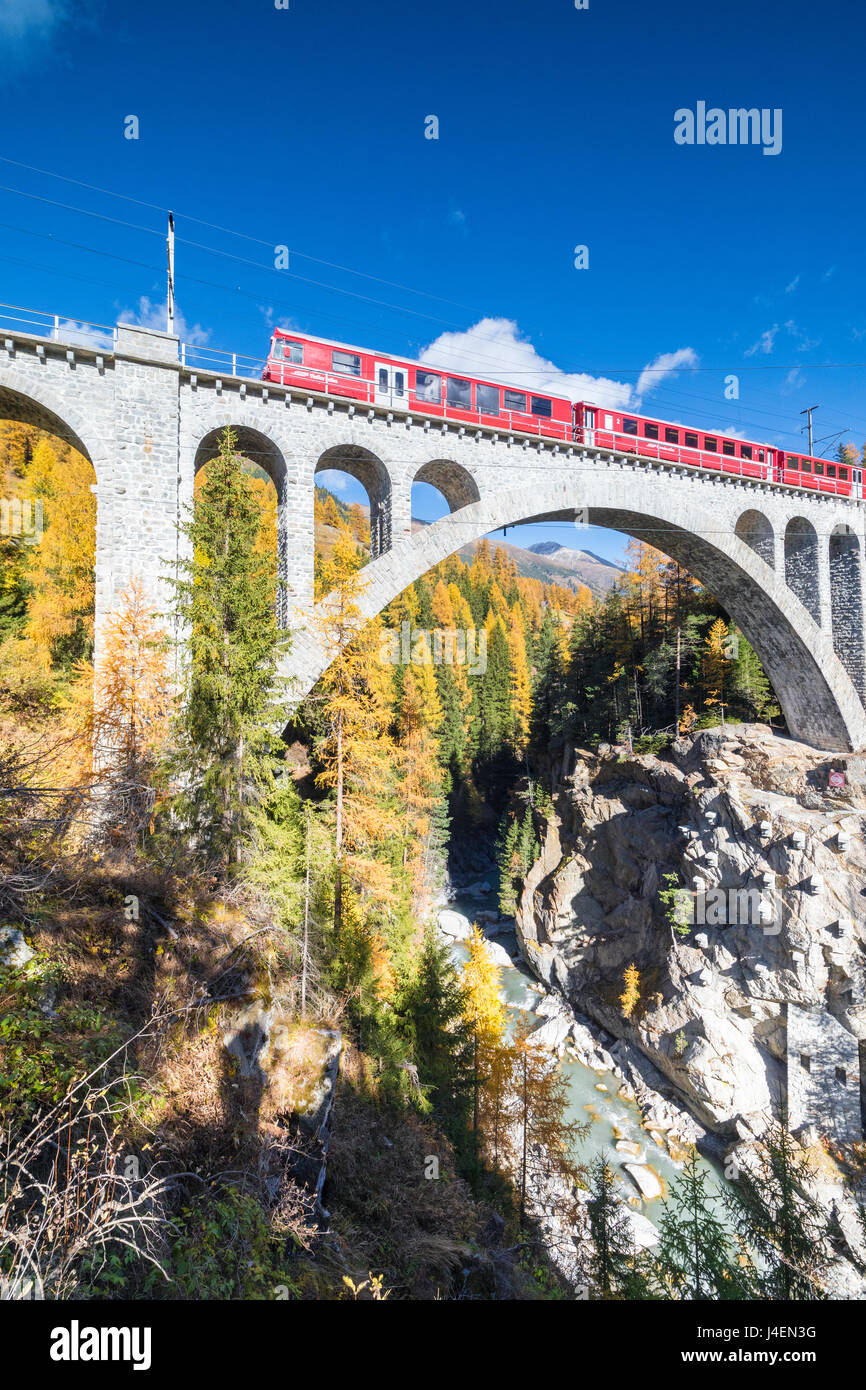 Il trenino rosso sul viadotto circondato da boschi colorati, Cinuos-Chel del Cantone dei Grigioni, Engadina, Svizzera, Europa Foto Stock