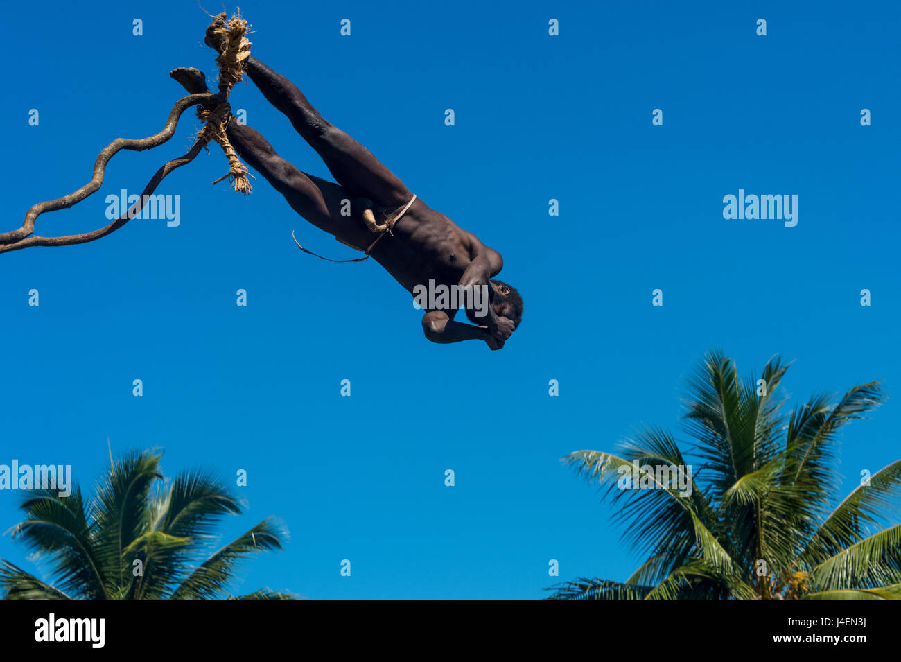 Uomo che salta da una torre di bambù, Pentecoste terra immersioni subacquee, Pentecoste, Vanuatu, Pacific Foto Stock