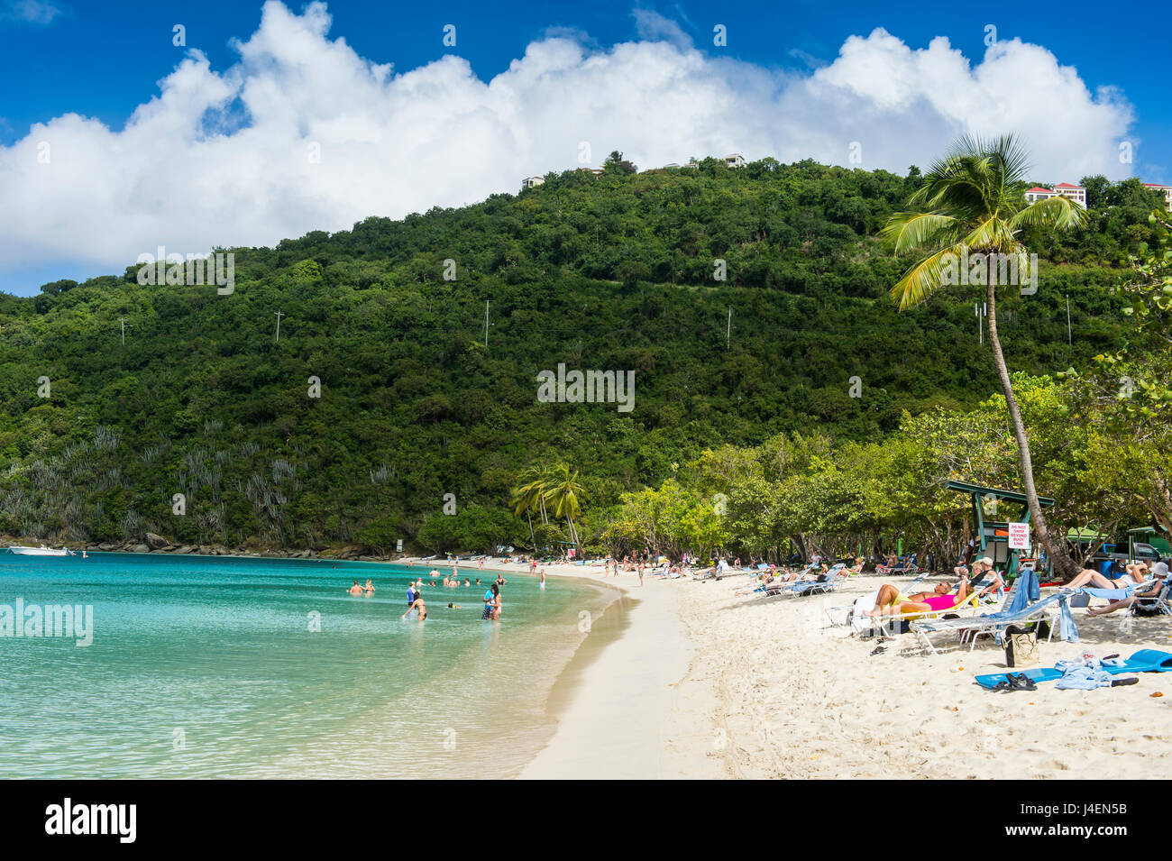 Magens Bay Beach, San Tommaso, Isole Vergini americane, West Indies, dei Caraibi e America centrale Foto Stock