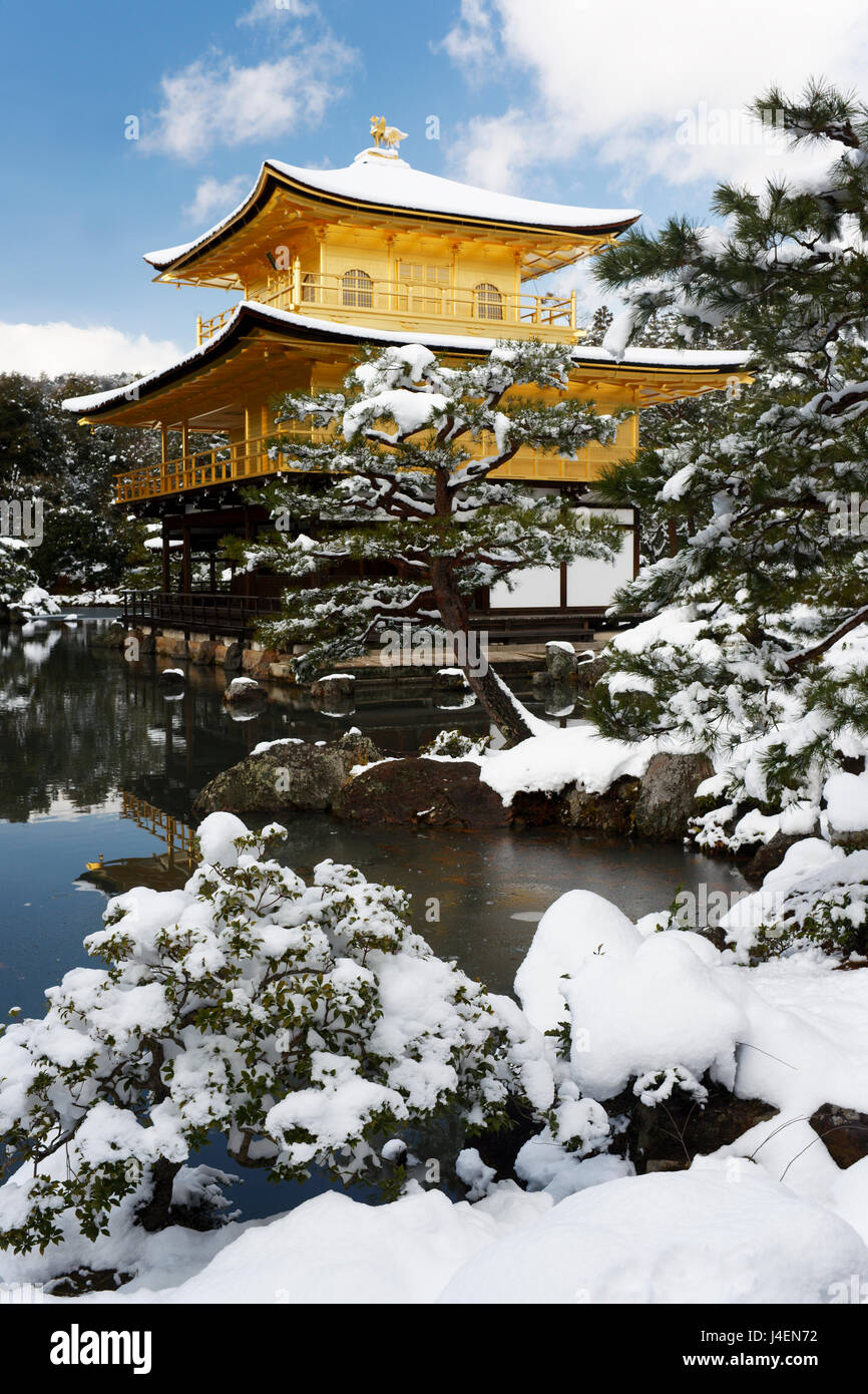 Il padiglione dorato (Kinkaku-ji), il Sito Patrimonio Mondiale dell'UNESCO, in inverno, Kyoto, Giappone, Asia Foto Stock