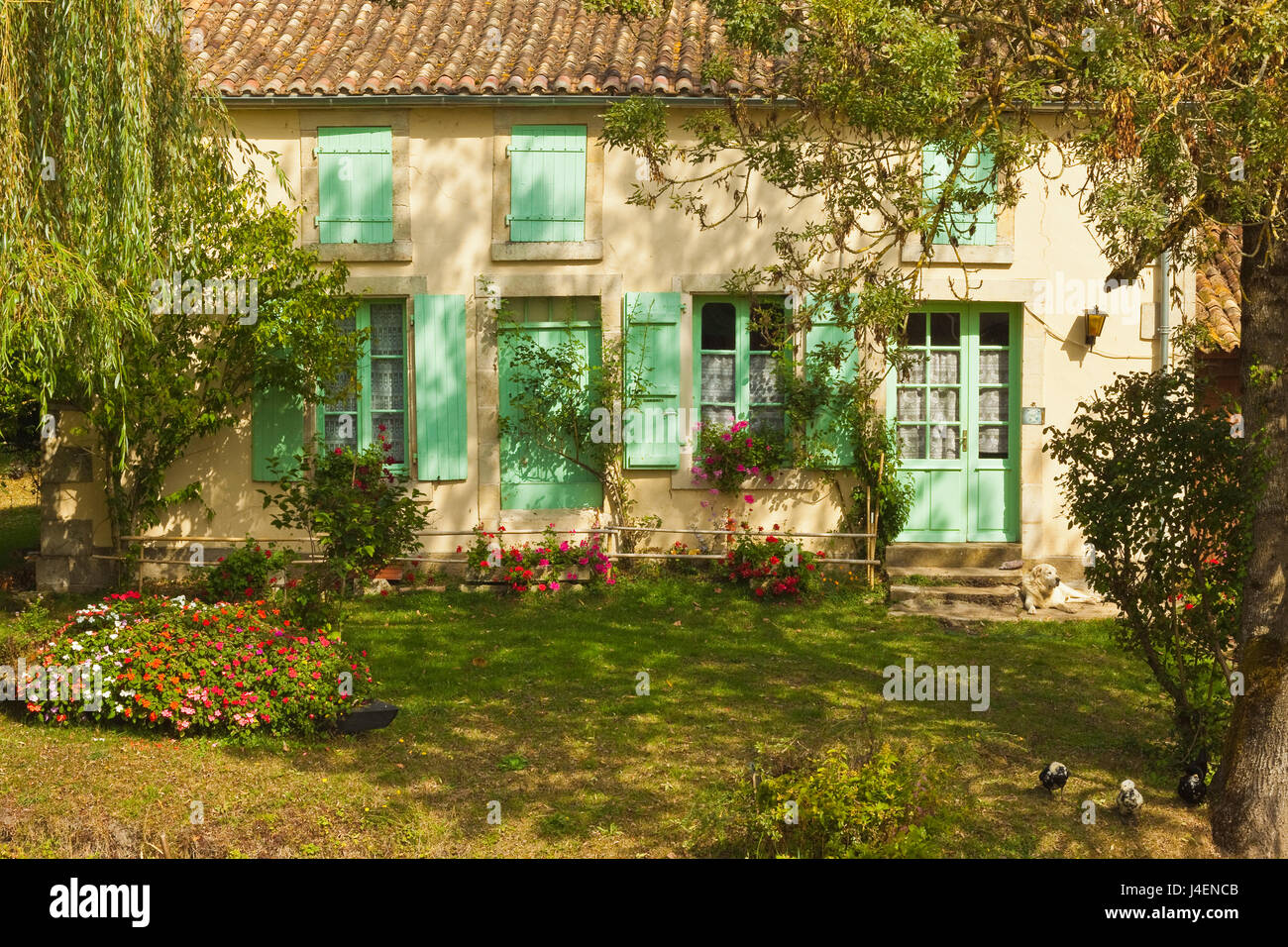 Casa con i tipici piatti regionali persiane verdi nel Marais Poitevin (Verde Venezia) zone umide, Arcais, Nouvelle-Aquitaine, Francia Foto Stock