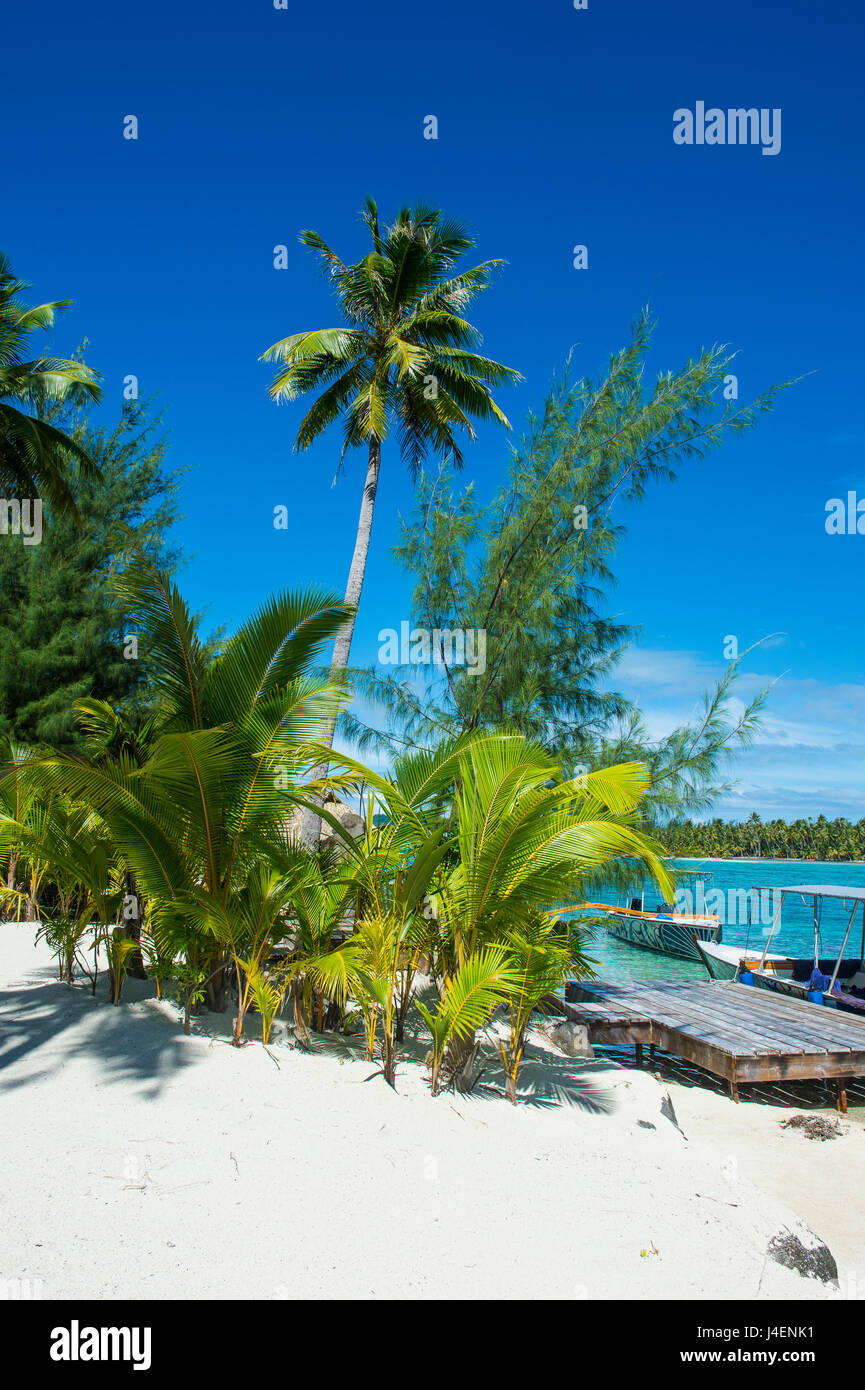 Spiaggia di sabbia bianca su di un motu, Bora Bora, Isole della Società, Polinesia francese, Pacific Foto Stock