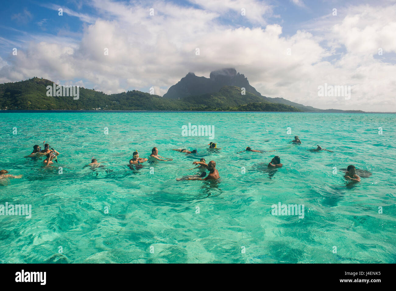 I turisti di nuoto con sting rays, Bora Bora, Isole della Società, Polinesia francese, Pacific Foto Stock