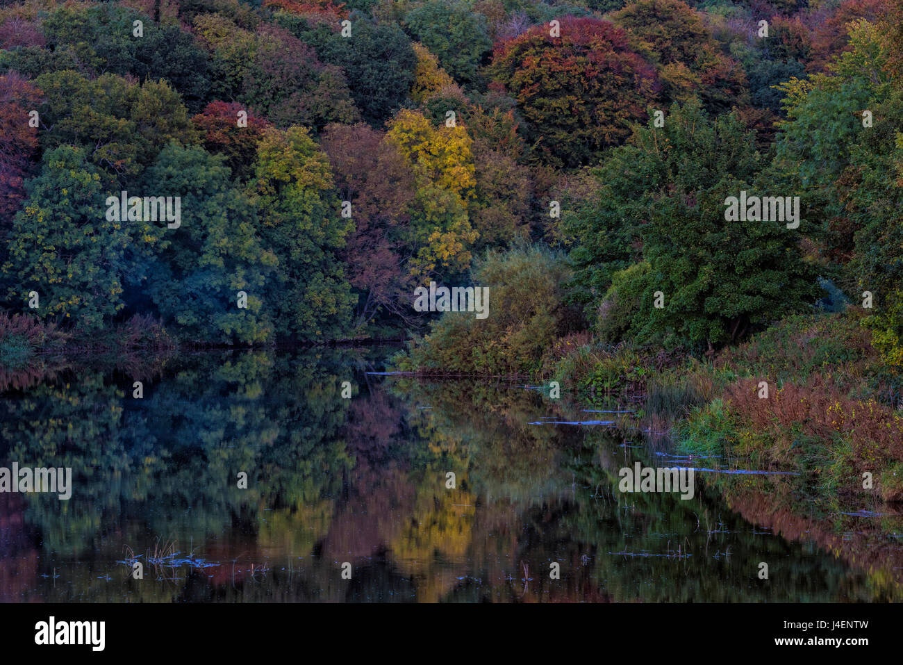 Fiume Boyne, nella contea di Meath, Leinster, Repubblica di Irlanda, Europa Foto Stock