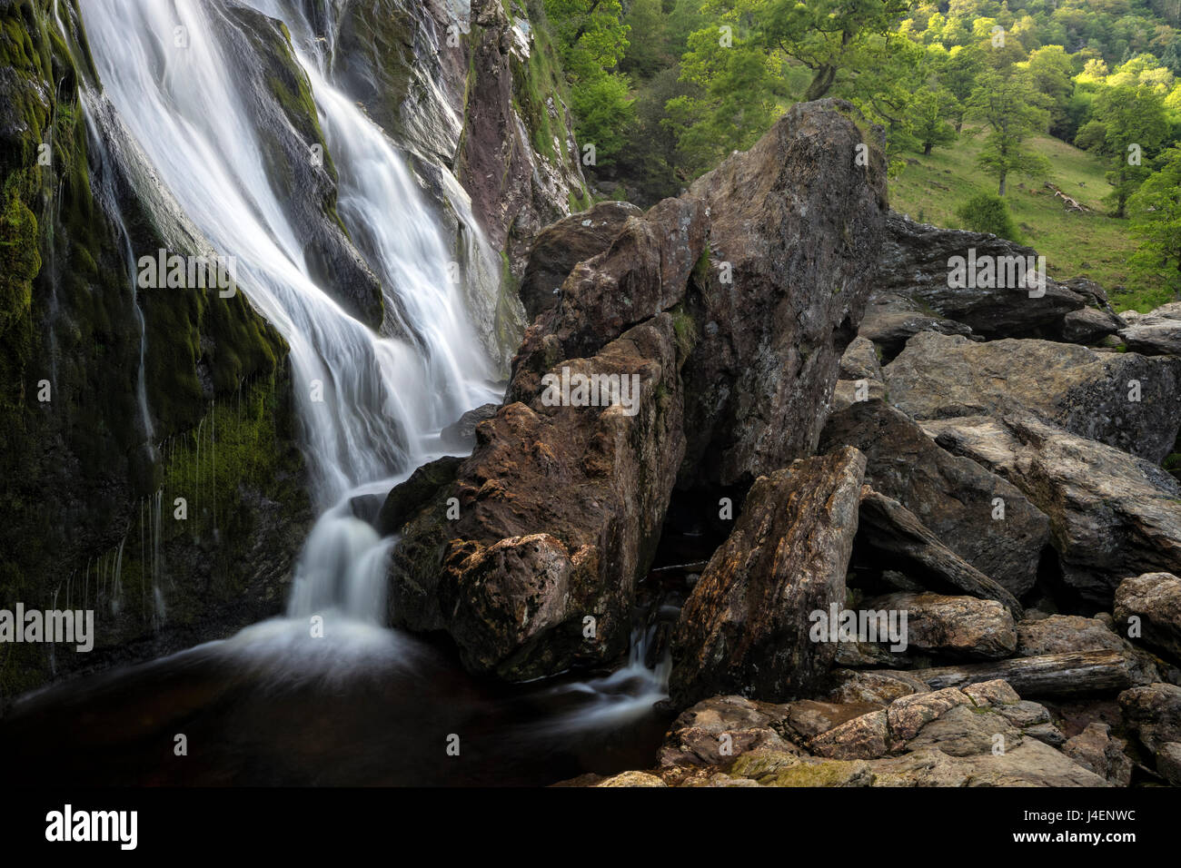 Al Powerscourt, County Wicklow, Leinster, Repubblica di Irlanda, Europa Foto Stock