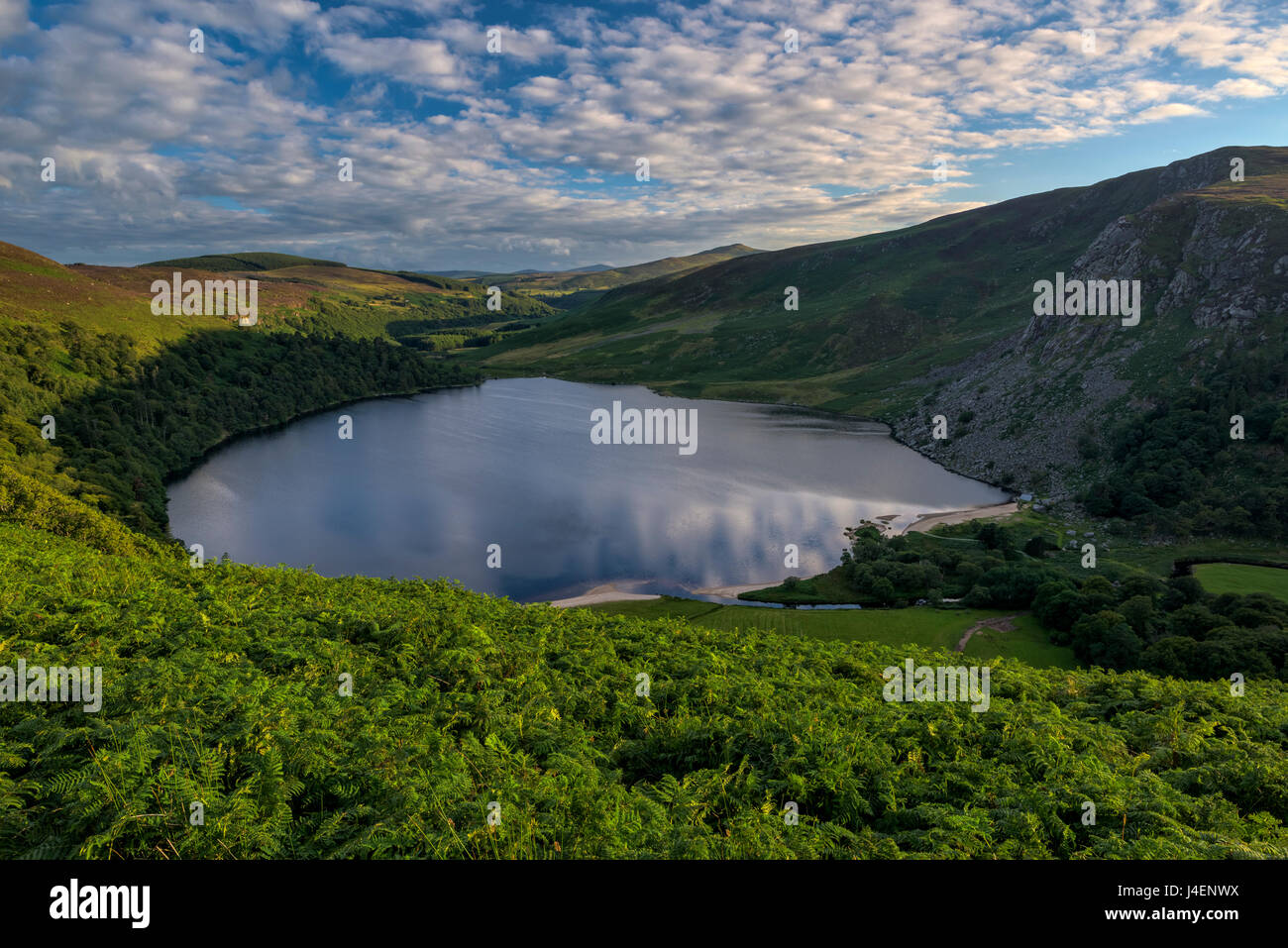 Lough Tay, County Wicklow, Leinster, Repubblica di Irlanda, Europa Foto Stock