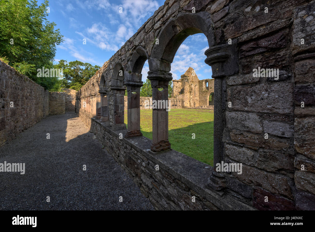 Abbazia di Jerpoint, nella Contea di Kilkenny, Leinster, Repubblica di Irlanda, Europa Foto Stock