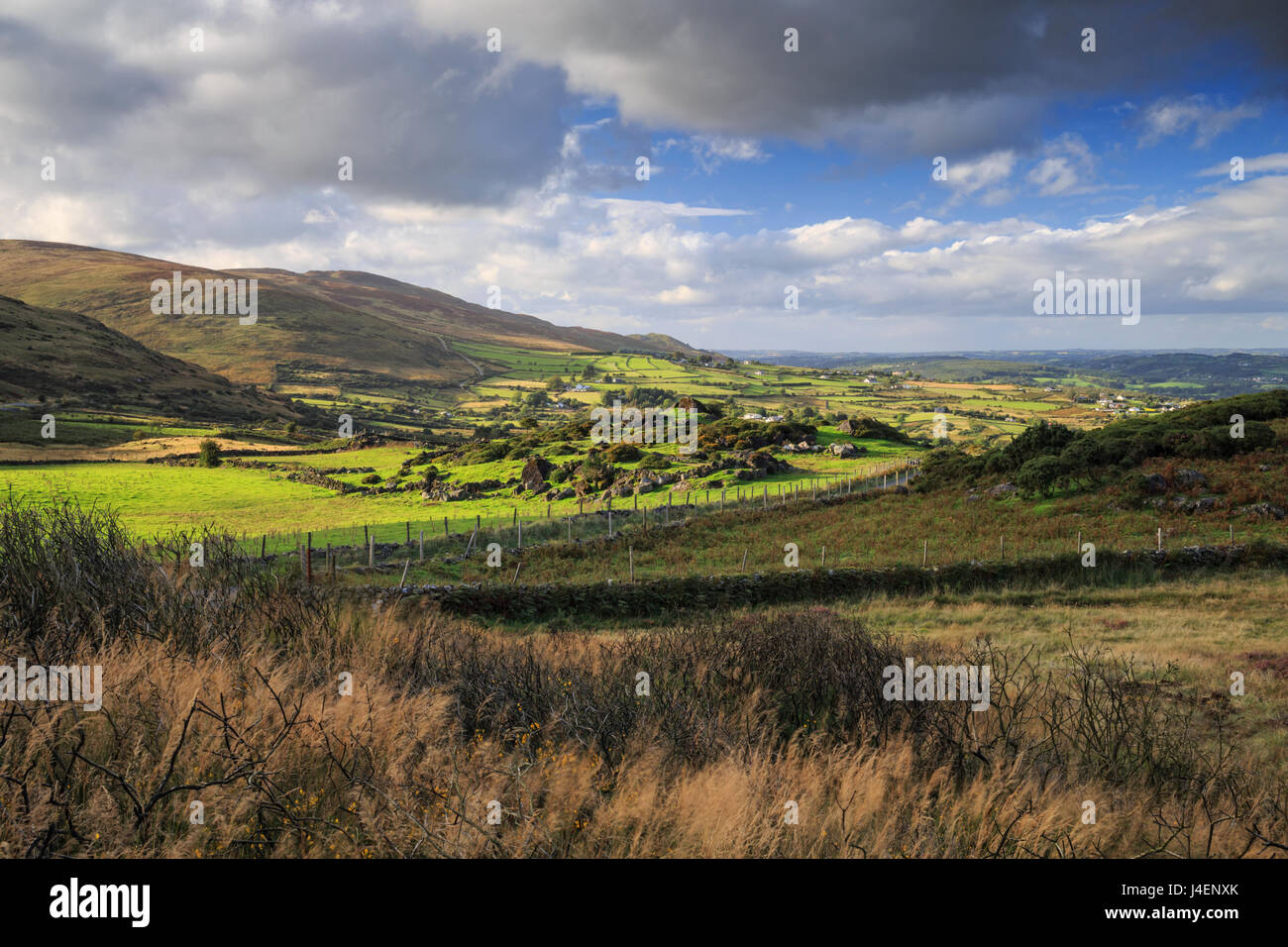 Cooley montagne, nella contea di Louth, Leinster, Repubblica di Irlanda, Europa Foto Stock
