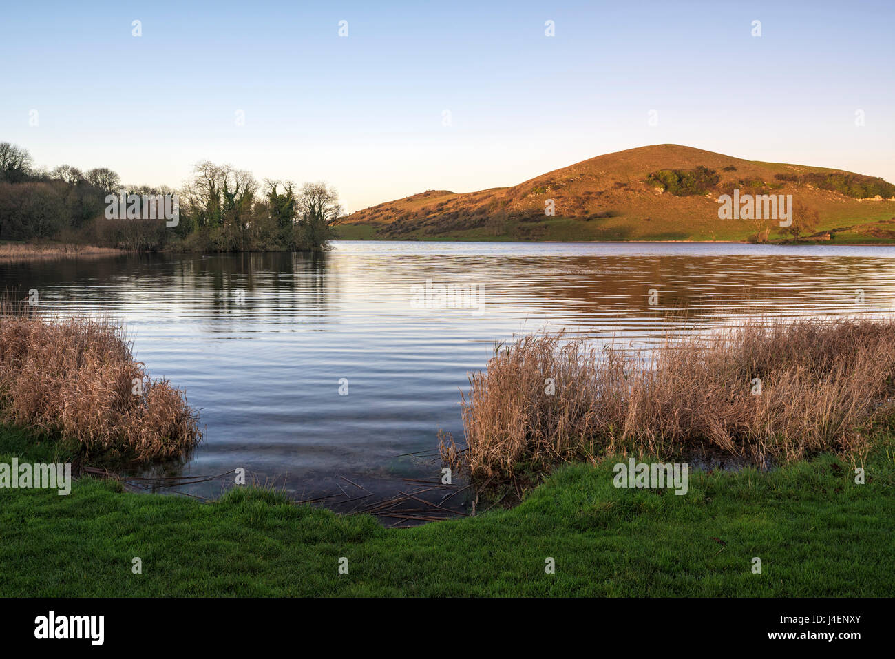 Lough Gur, County Limerick, Munster, Repubblica di Irlanda, Europa Foto Stock