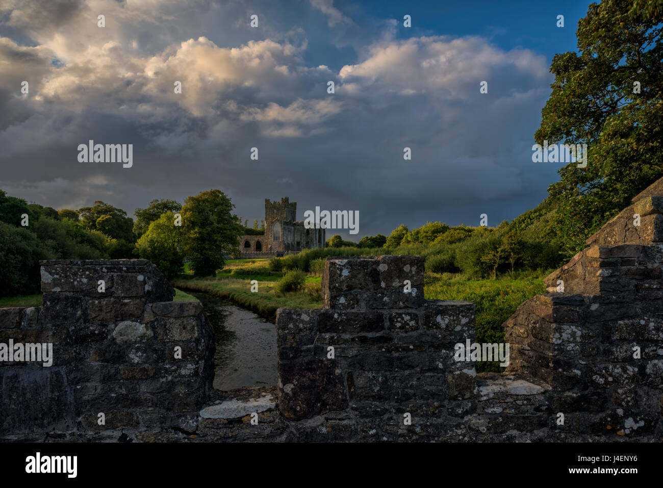 Tintern Abbey, County Wexford, Leinster, Repubblica di Irlanda, Europa Foto Stock