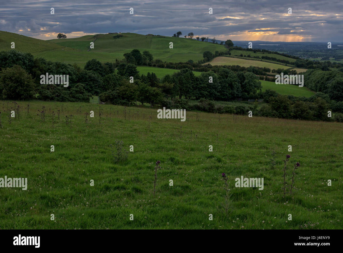Loughcrew, nella contea di Meath, Leinster, Repubblica di Irlanda, Europa Foto Stock