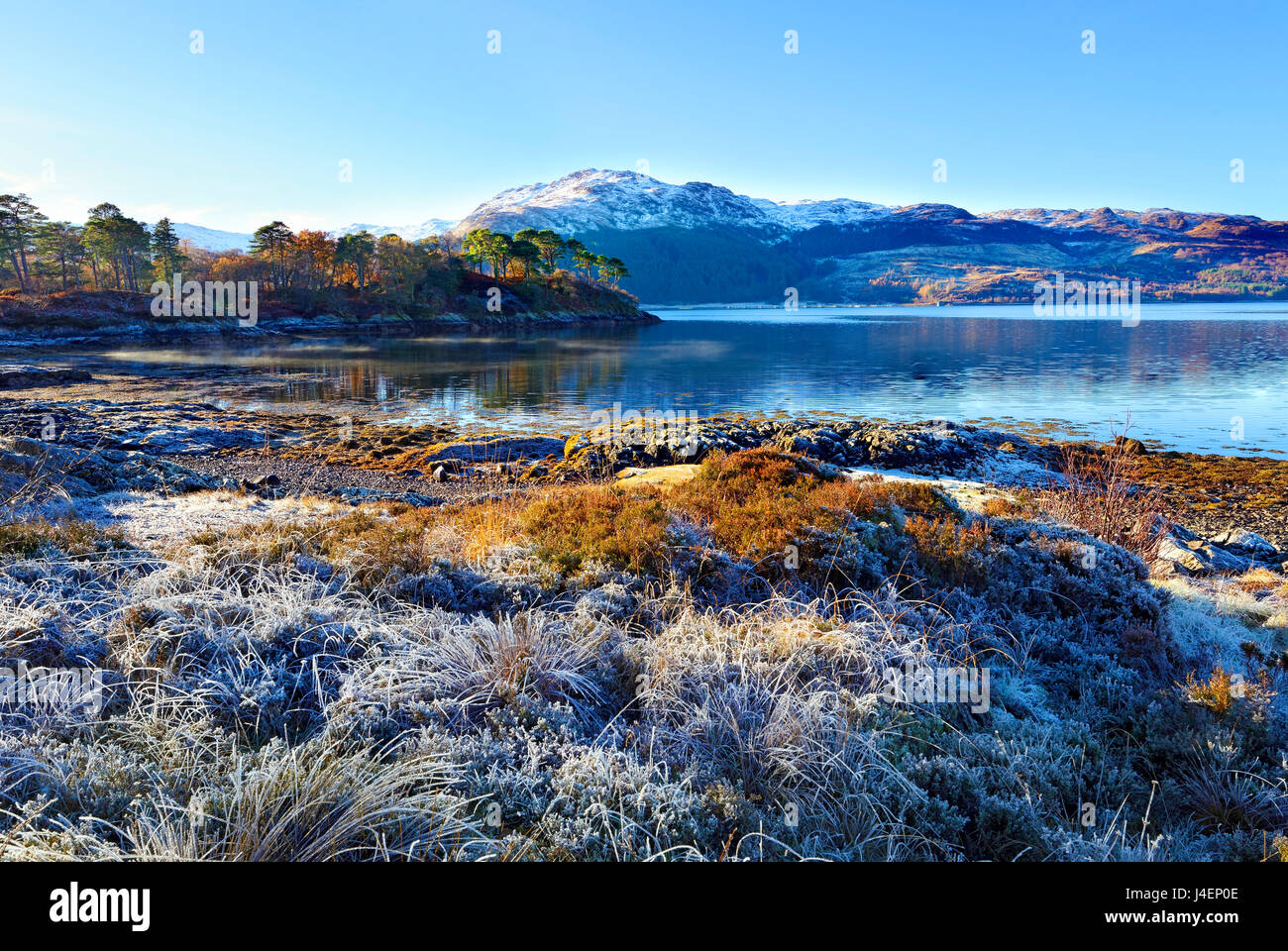 Vista invernale su un gelido mattina di sole lungo le sponde del Loch Sunart nella penisola a Ardnamurchan, Highlands scozzesi, REGNO UNITO Foto Stock