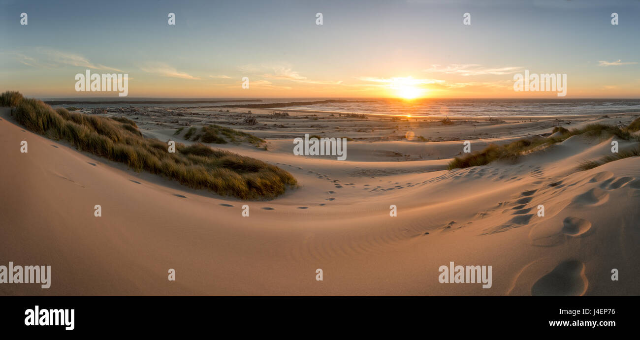 Le dune di sabbia, erba, e driftwood al tramonto sulla costa dell'Oregon, Oregon, Stati Uniti d'America, America del Nord Foto Stock