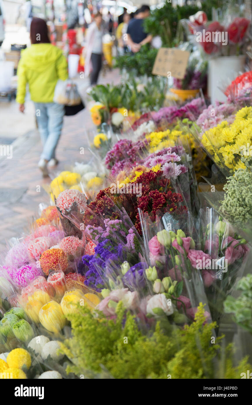 Il mercato dei fiori, Mongkok, Kowloon, Hong Kong, Cina, Asia Foto Stock