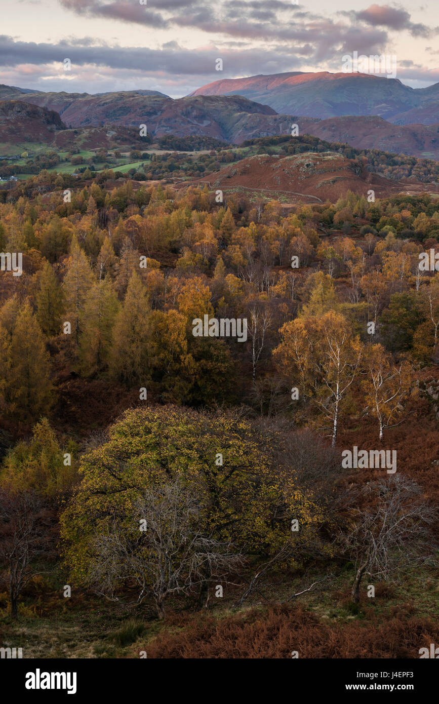 La vista al crepuscolo da Holme cadde, Parco Nazionale del Distretto dei Laghi, Cumbria, England, Regno Unito, Europa Foto Stock