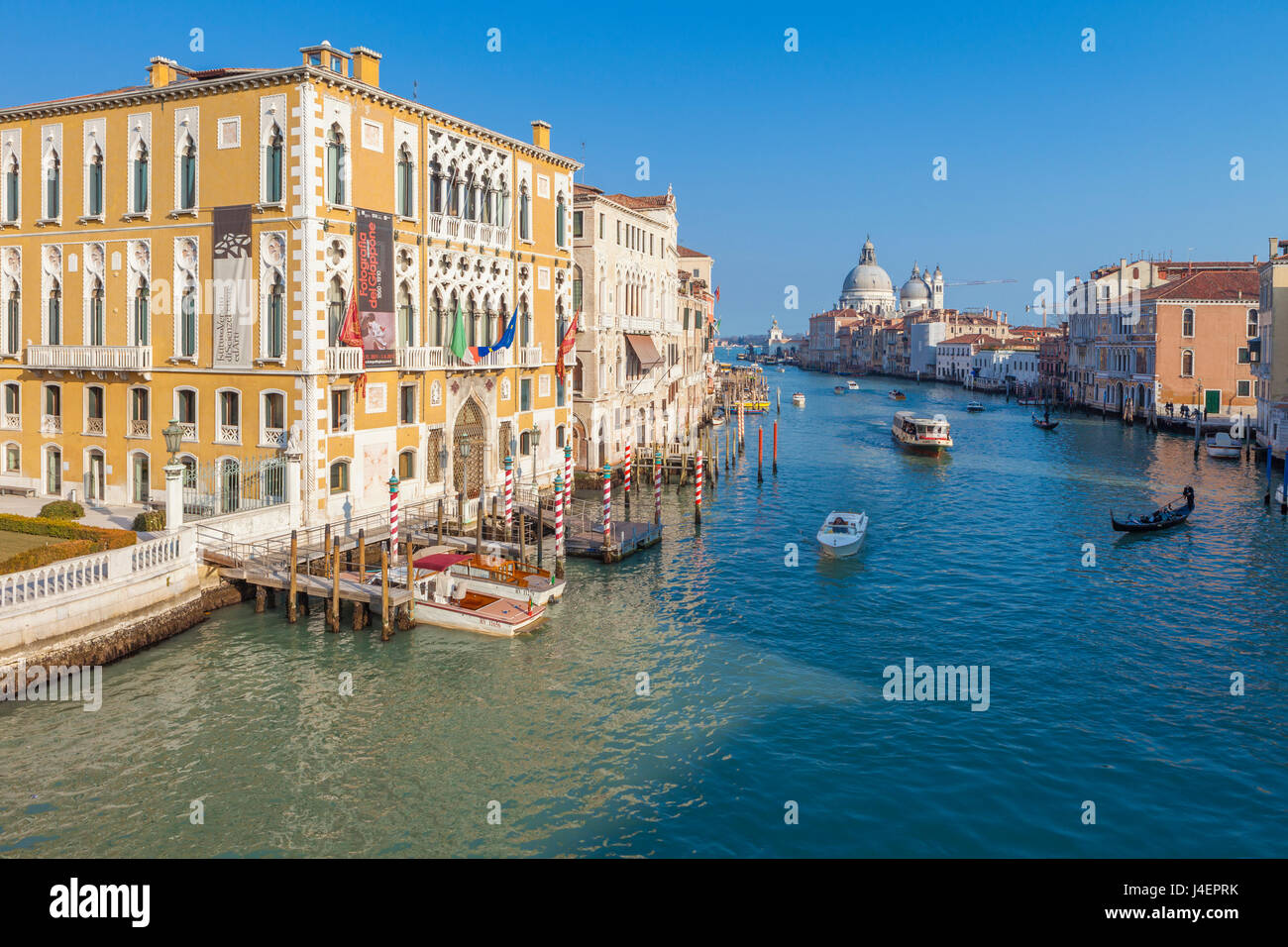 Vista del vecchio Palazzo Cavalli Franchetti che si affaccia sul Canal Grande (Grand Canal, Venezia, UNESCO, Veneto, Italia Foto Stock